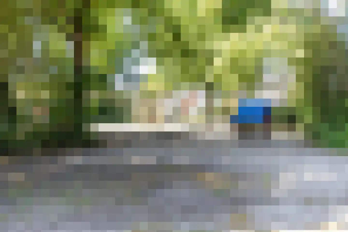 Steltlopen 19 Best thumbnail 44
