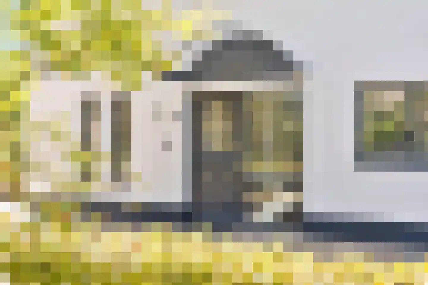 Steltlopen 19 Best thumbnail 5