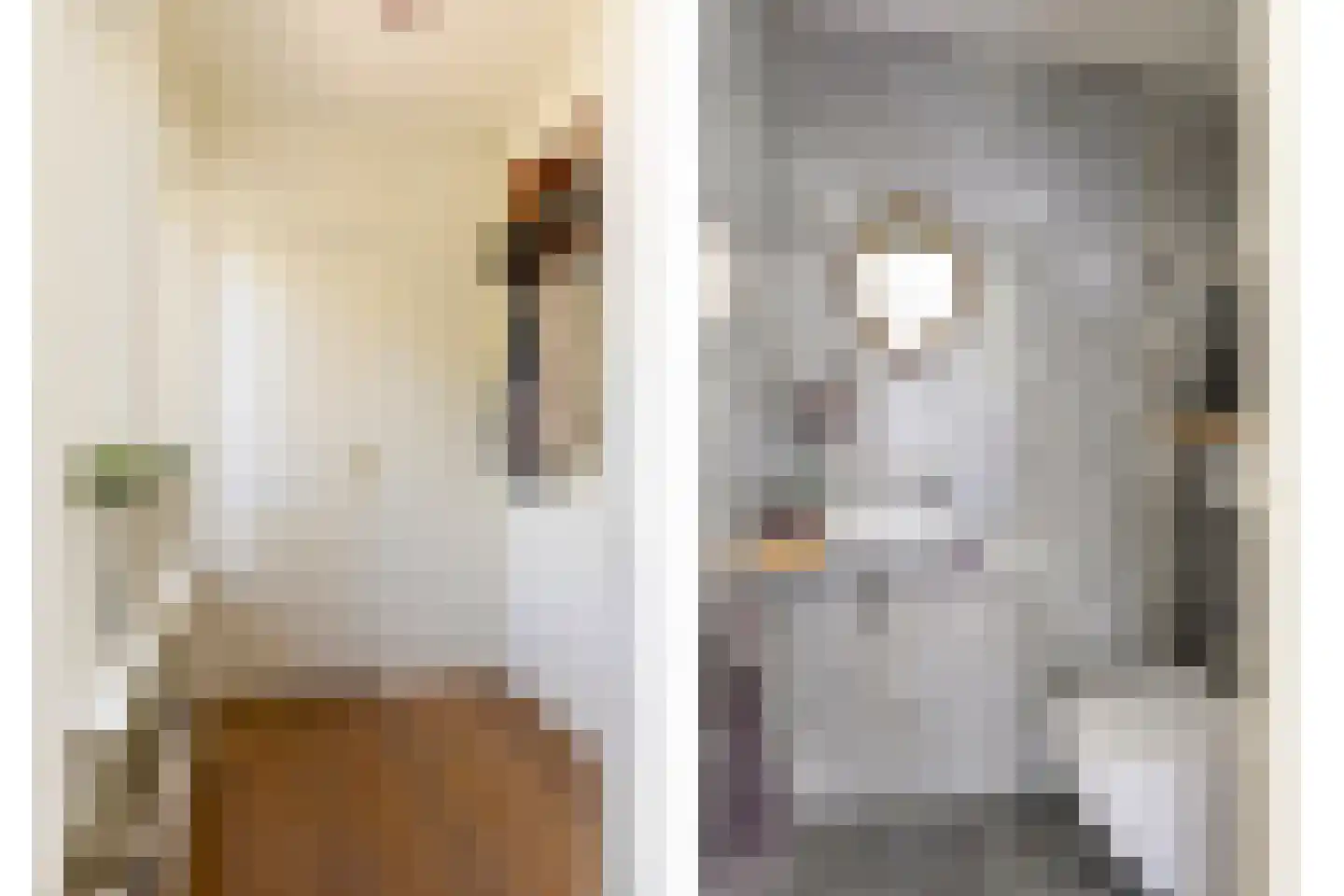 Steltlopen 19 Best thumbnail 7