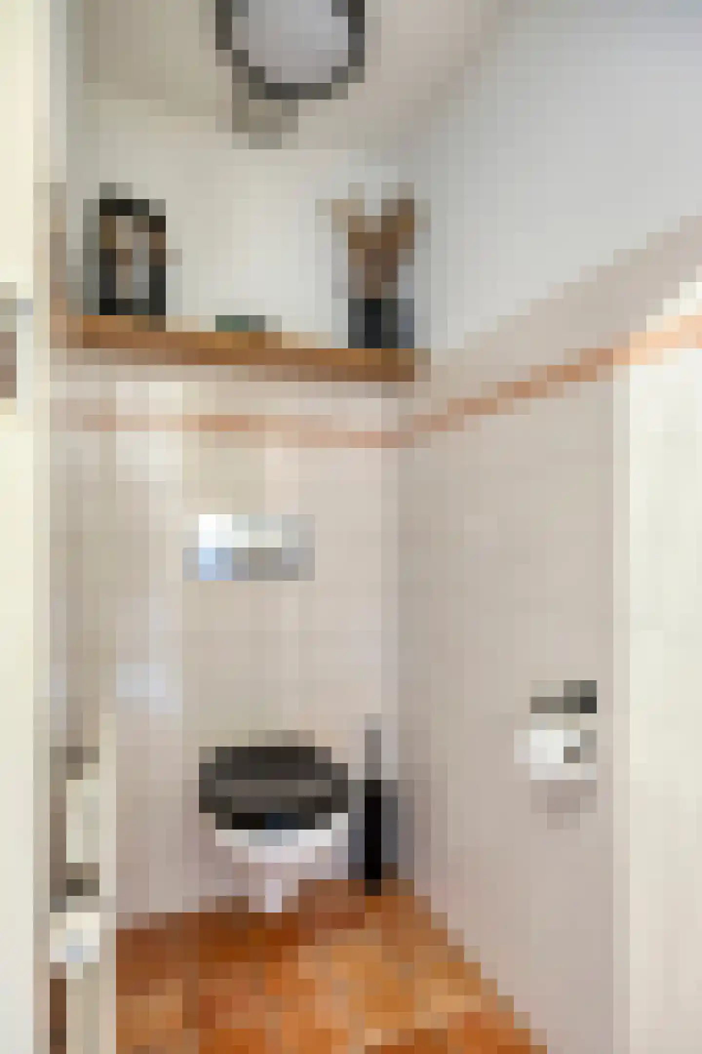 Steltlopen 24 Best thumbnail 10