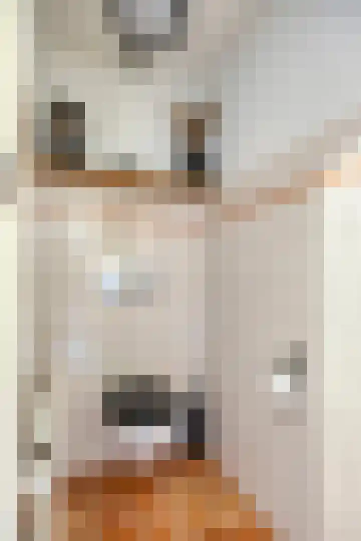 Steltlopen 24 Best thumbnail 12