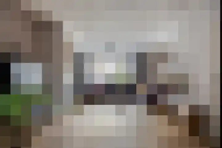 Steltlopen 24 Best thumbnail 13