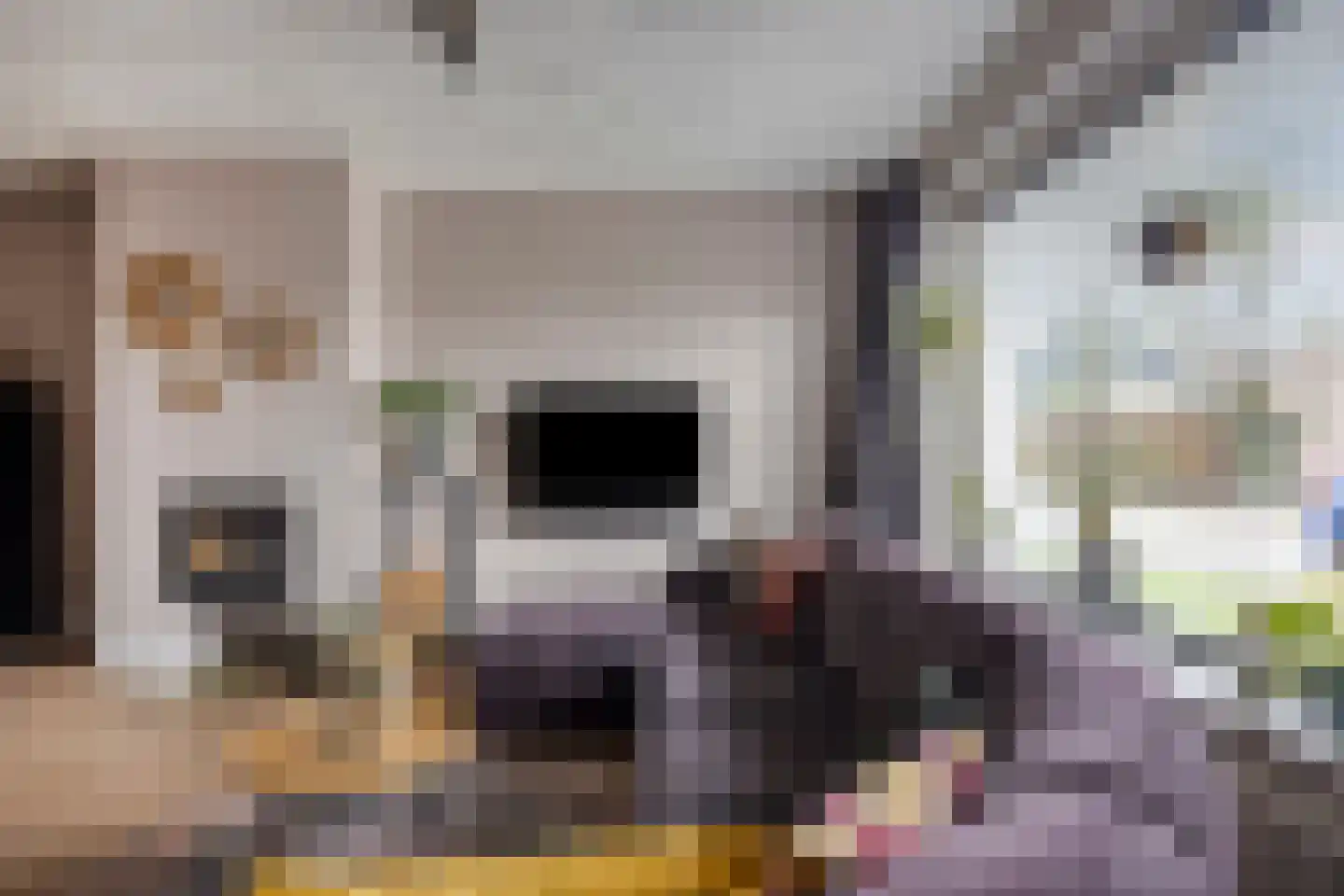 Steltlopen 24 Best thumbnail 14