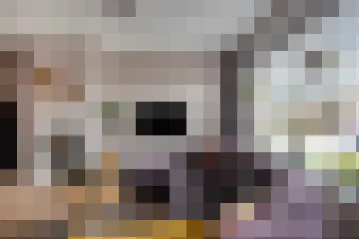 Steltlopen 24 Best thumbnail 16