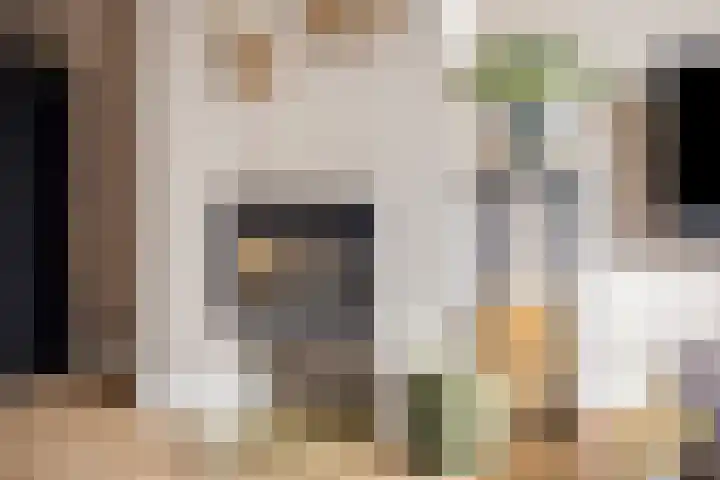 Steltlopen 24 Best thumbnail 17