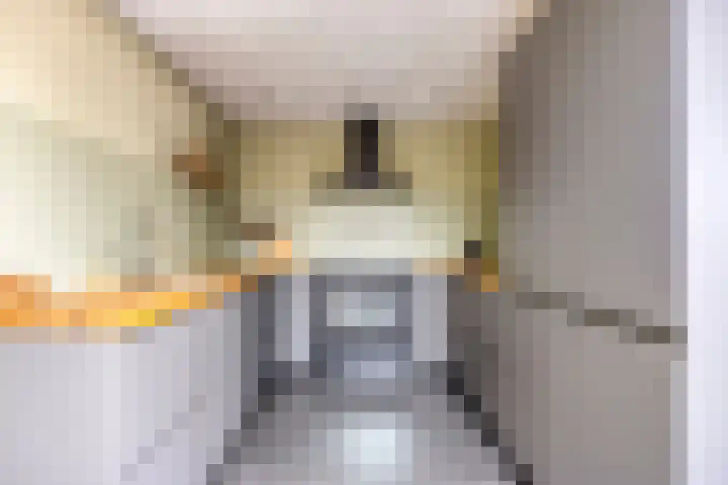 Steltlopen 24 Best thumbnail 21