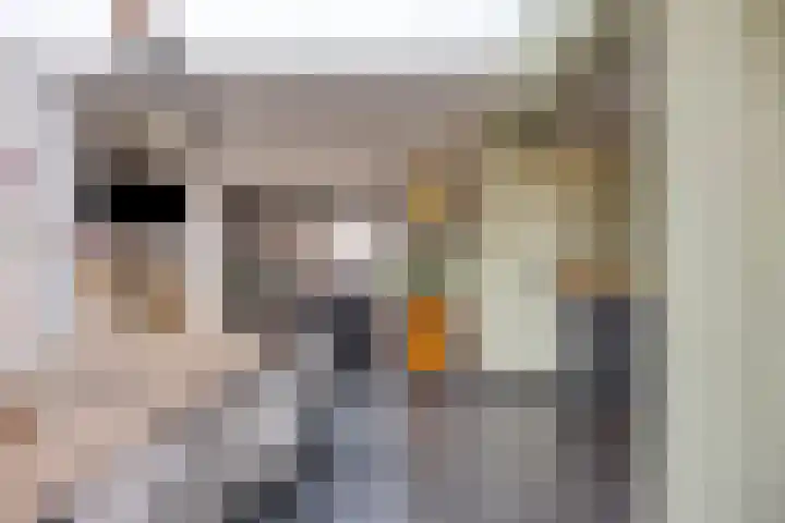 Steltlopen 24 Best thumbnail 22