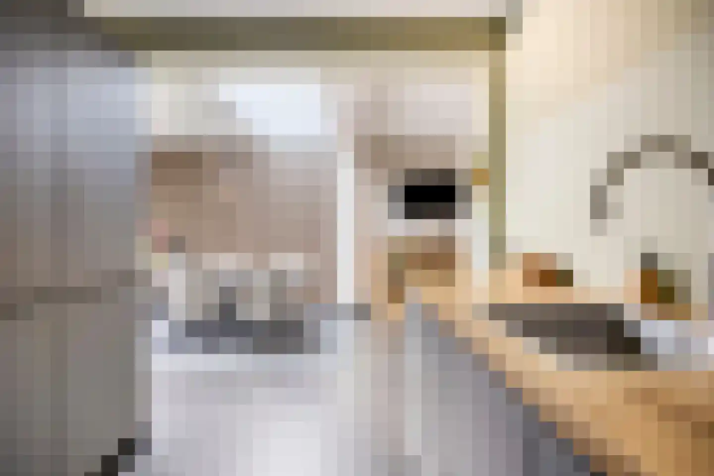 Steltlopen 24 Best thumbnail 22