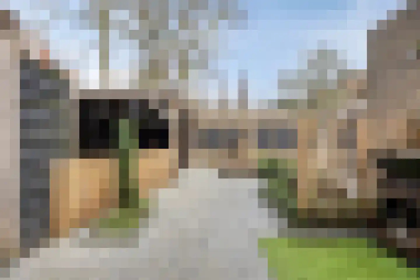 Steltlopen 24 Best thumbnail 23