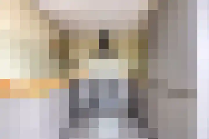 Steltlopen 24 Best thumbnail 23