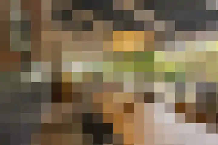 Steltlopen 24 Best thumbnail 25