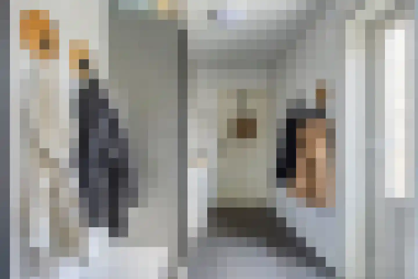 Steltlopen 24 Best thumbnail 25