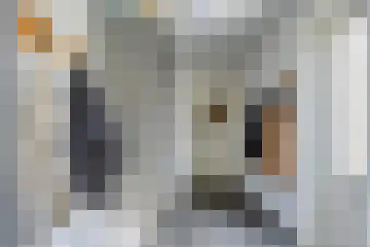 Steltlopen 24 Best thumbnail 27