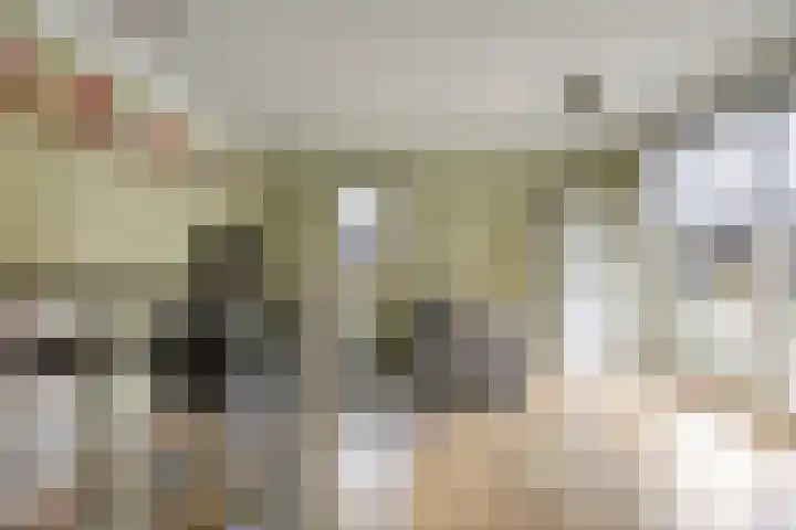Steltlopen 24 Best thumbnail 28