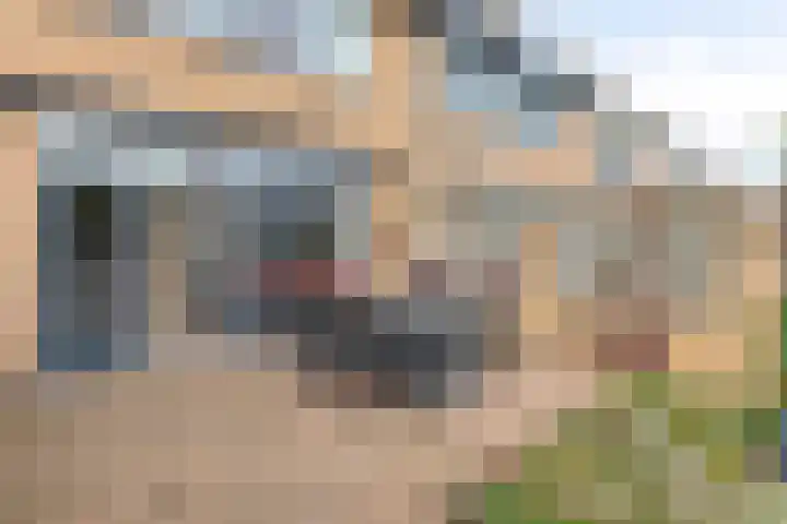 Steltlopen 24 Best thumbnail 29