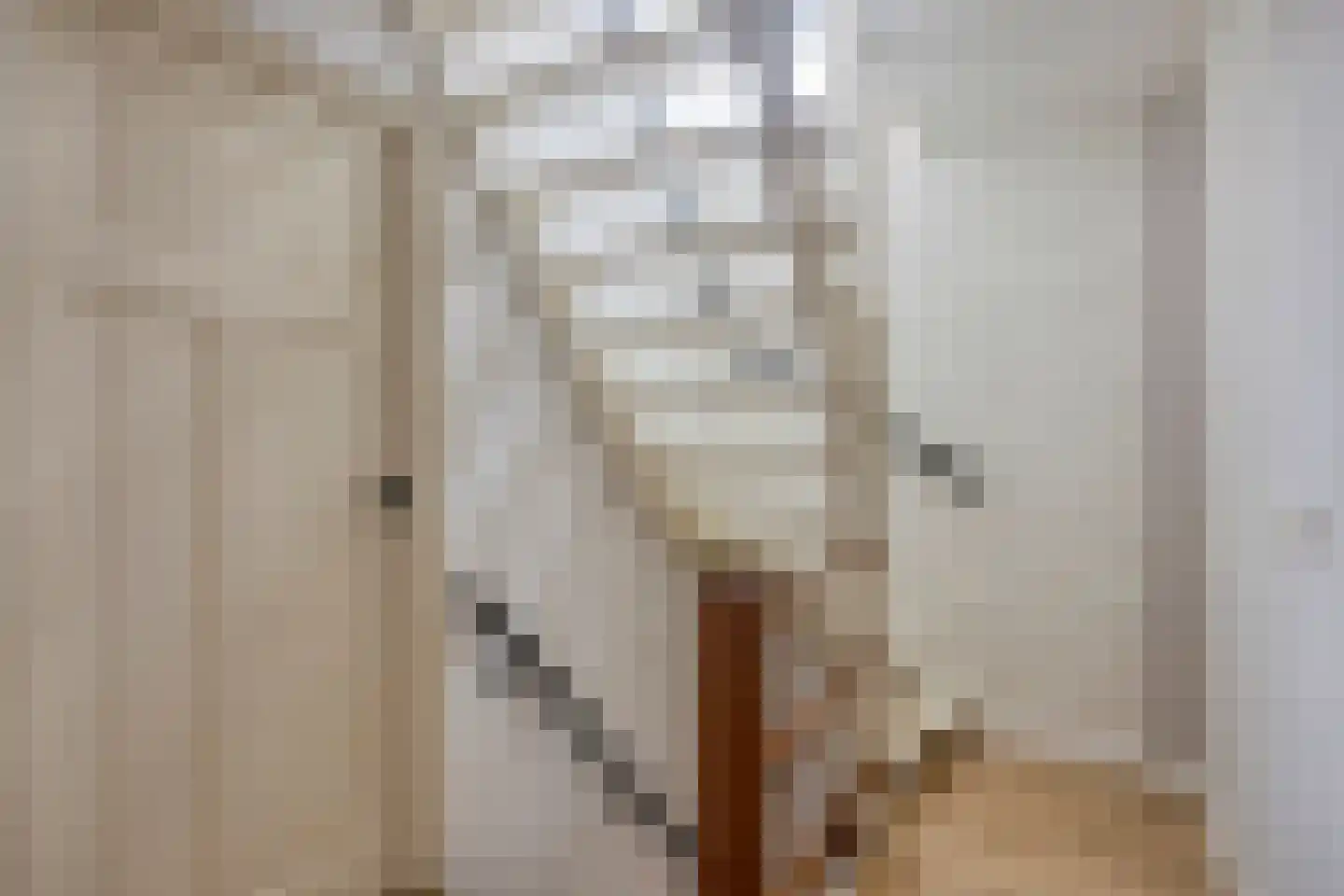 Steltlopen 24 Best thumbnail 30