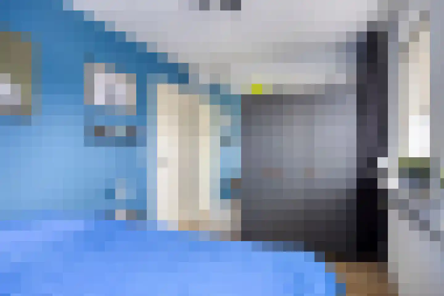 Steltlopen 24 Best thumbnail 39