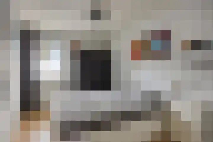 Steltlopen 24 Best thumbnail 39