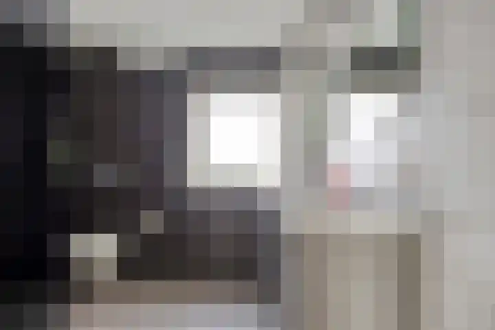 Steltlopen 24 Best thumbnail 42
