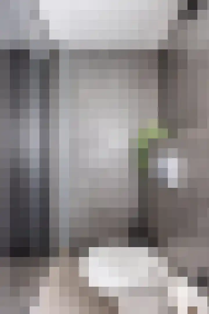 Steltlopen 24 Best thumbnail 43