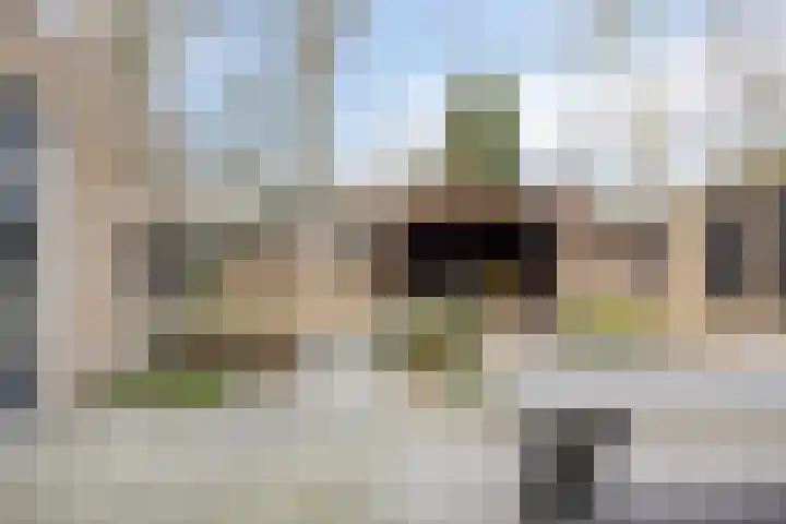 Steltlopen 24 Best thumbnail 48