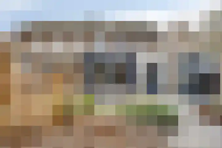 Steltlopen 24 Best thumbnail 49