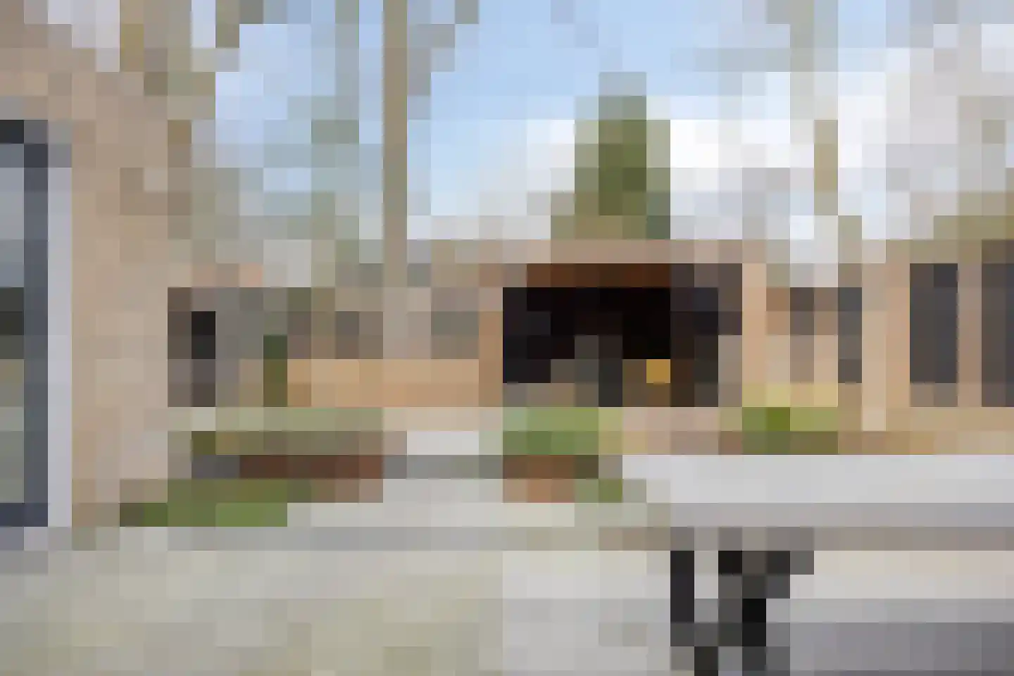 Steltlopen 24 Best thumbnail 5