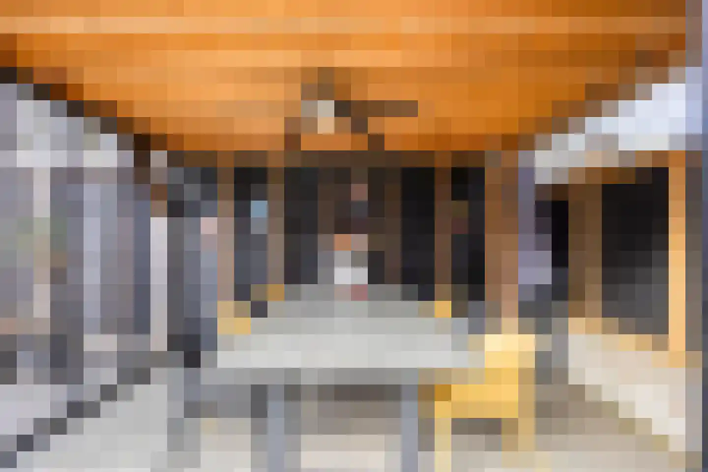 Steltlopen 24 Best thumbnail 50