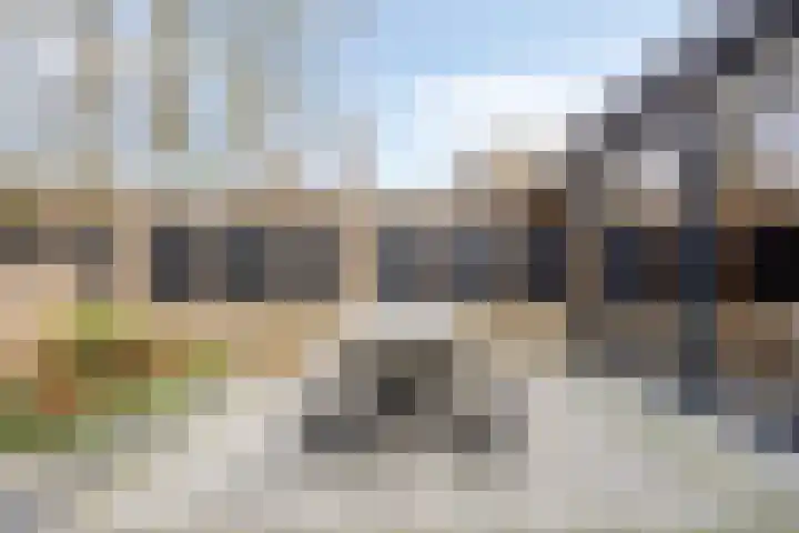 Steltlopen 24 Best thumbnail 51