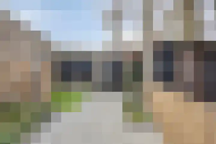 Steltlopen 24 Best thumbnail 54