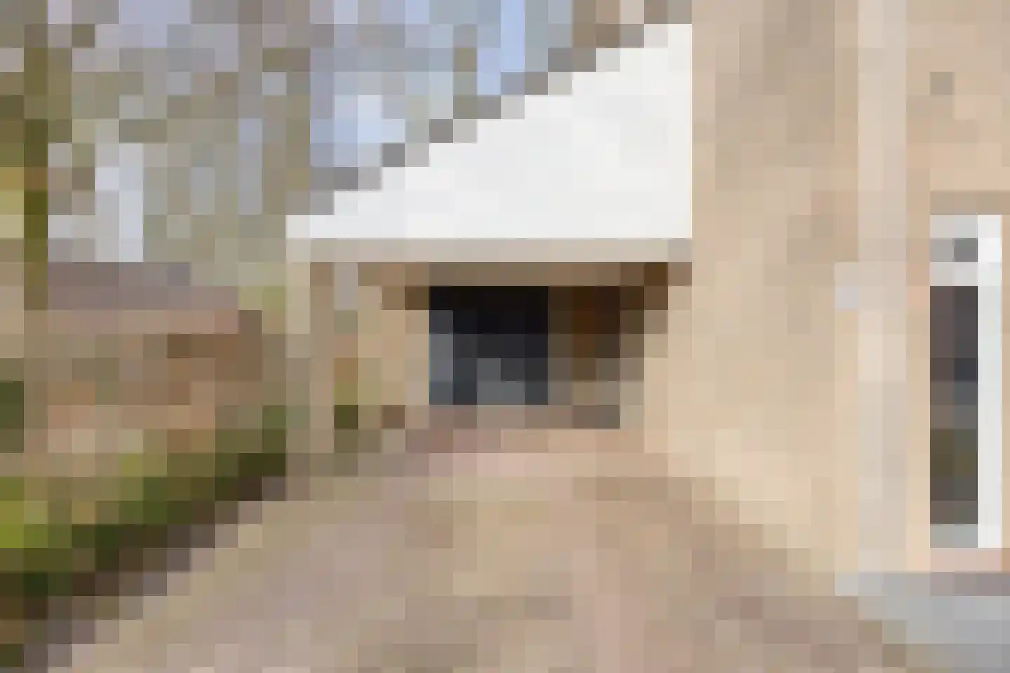 Steltlopen 24 Best thumbnail 56