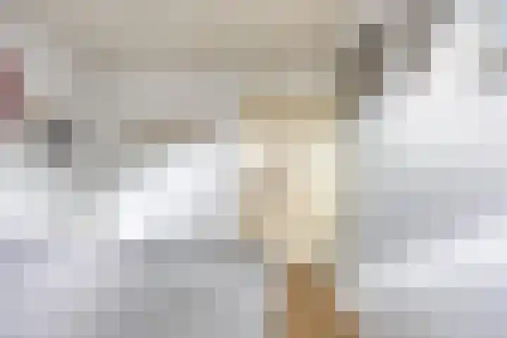 Steltlopen 24 Best thumbnail 56