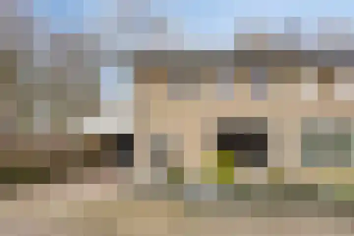 Steltlopen 24 Best thumbnail 57