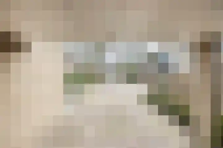 Steltlopen 24 Best thumbnail 59
