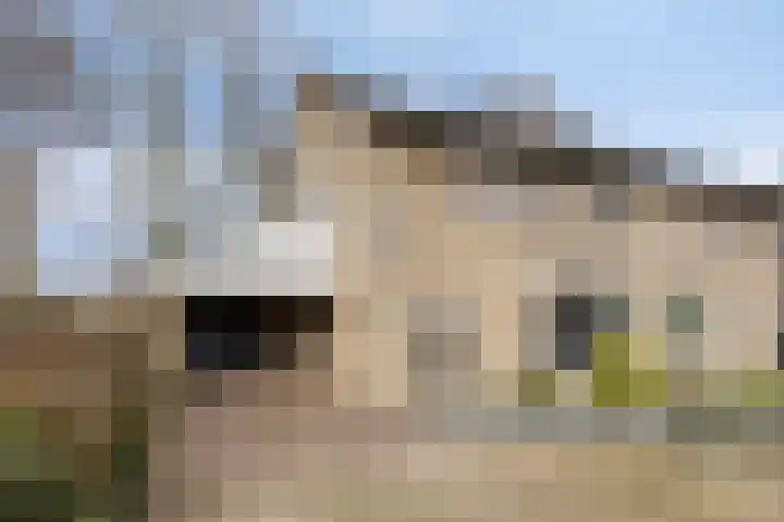Steltlopen 24 Best thumbnail 6