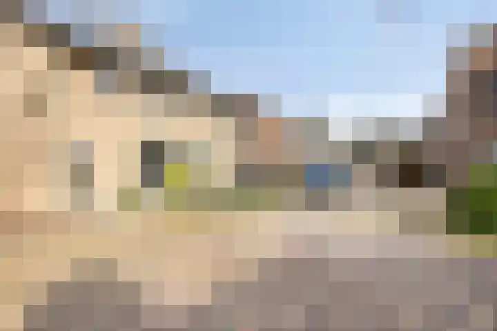 Steltlopen 24 Best thumbnail 60