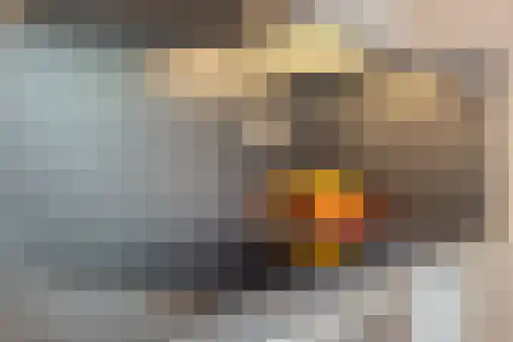 Steltlopen 24 Best thumbnail 61