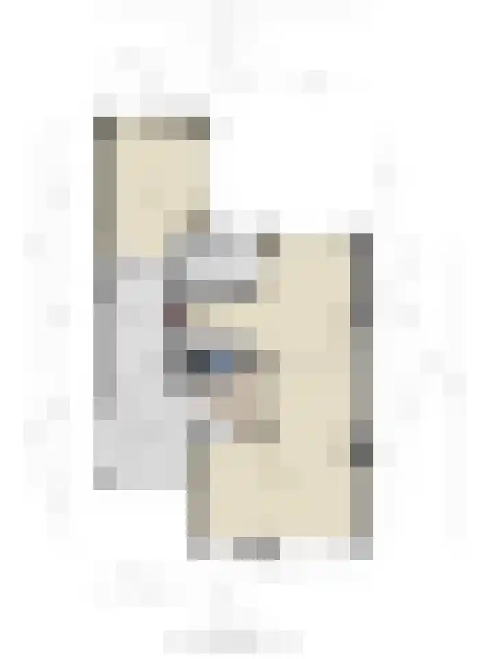 Steltlopen 24 Best thumbnail 61