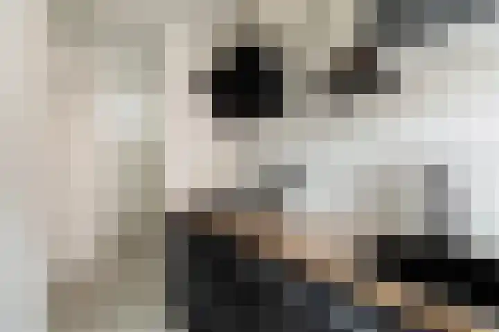 Steltlopen 24 Best thumbnail 7