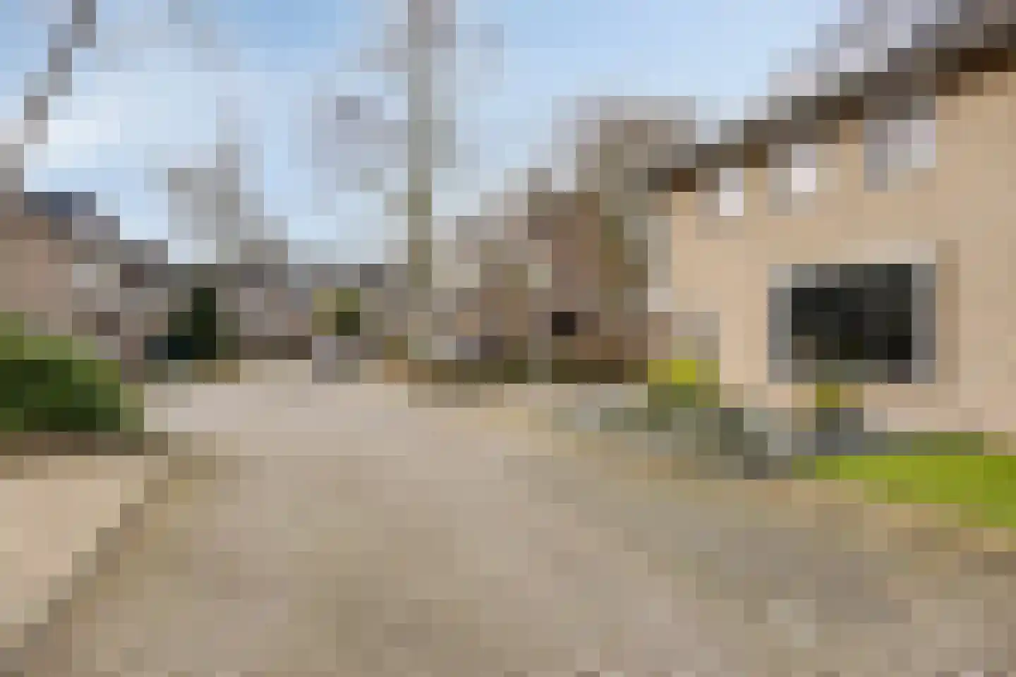 Steltlopen 24 Best thumbnail 7