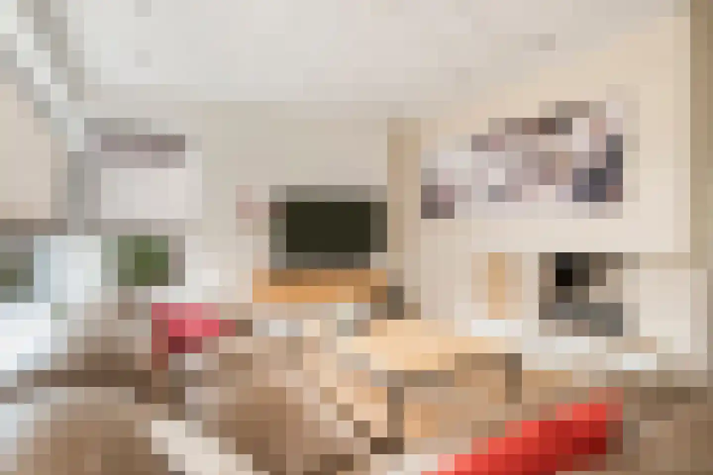 Steltlopen 8 Best thumbnail 13