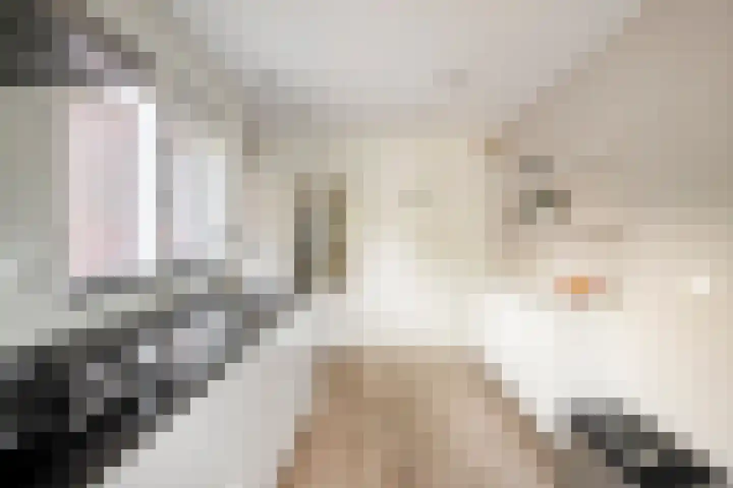 Steltlopen 8 Best thumbnail 18