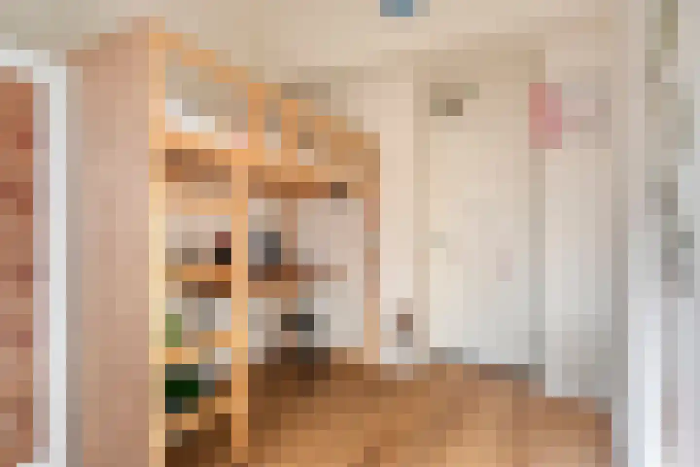Steltlopen 8 Best thumbnail 27