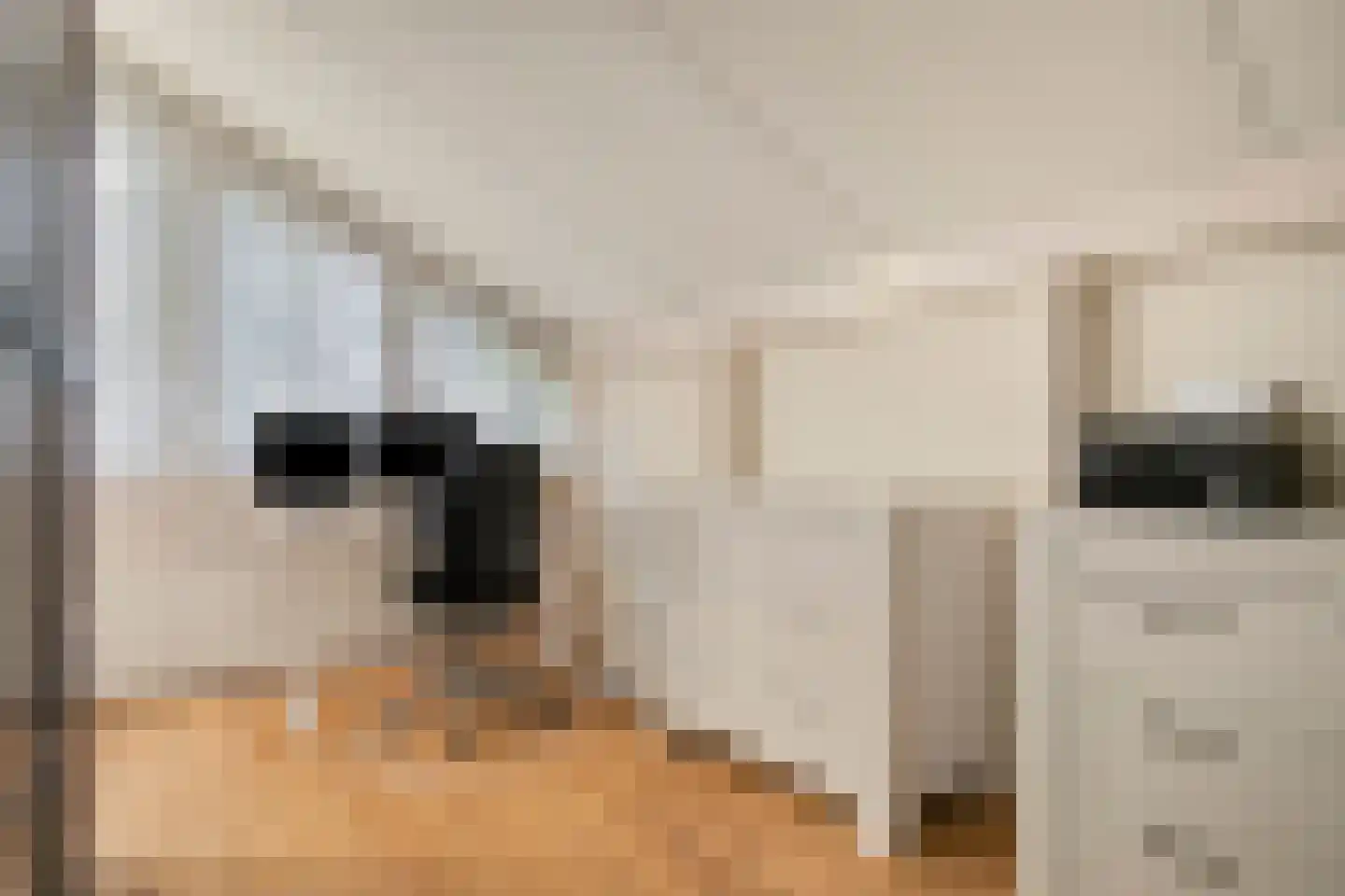 Steltlopen 8 Best thumbnail 31