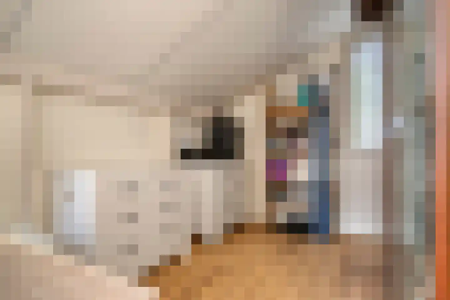 Steltlopen 8 Best thumbnail 32