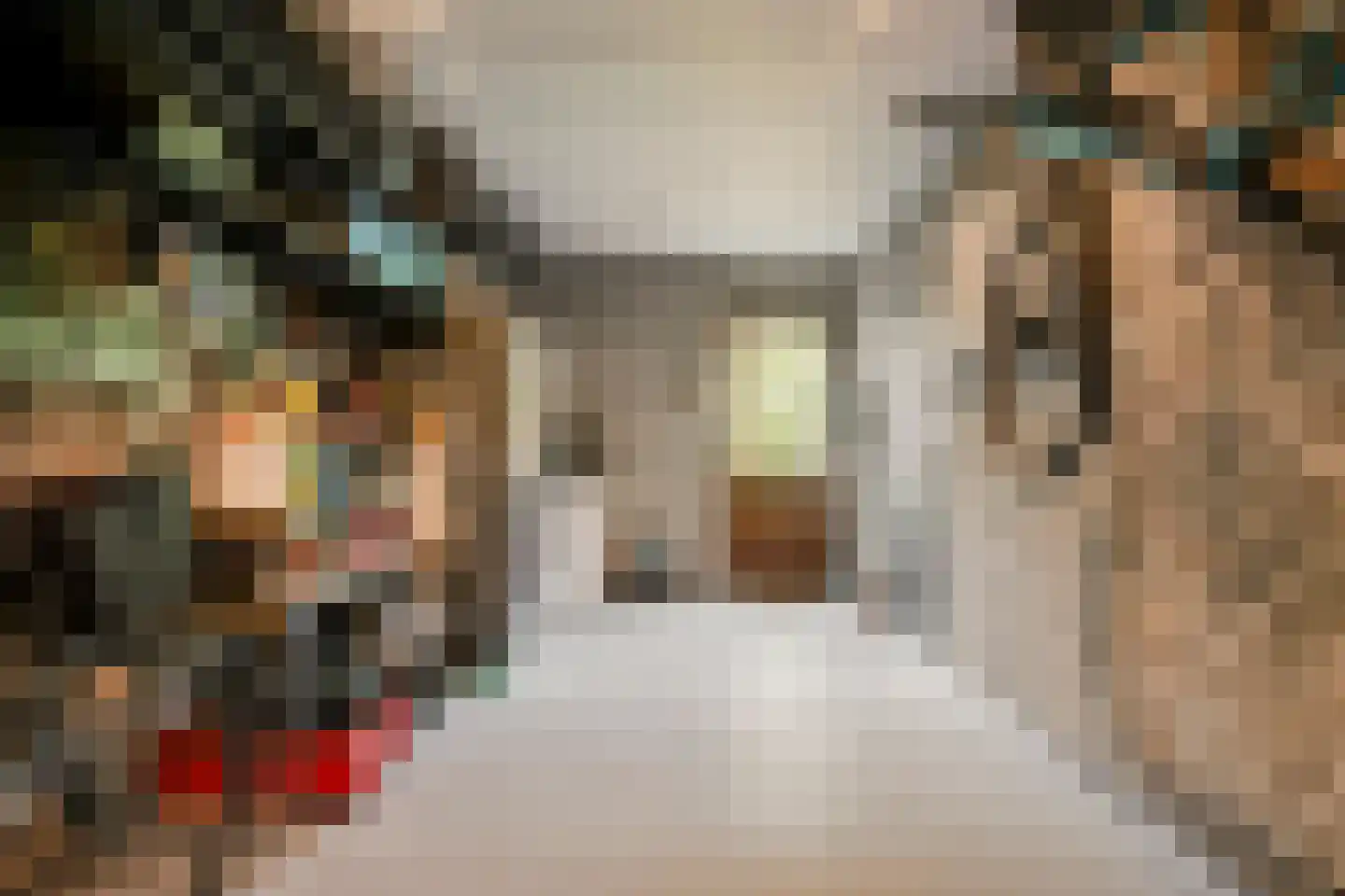 Steltlopen 8 Best thumbnail 37