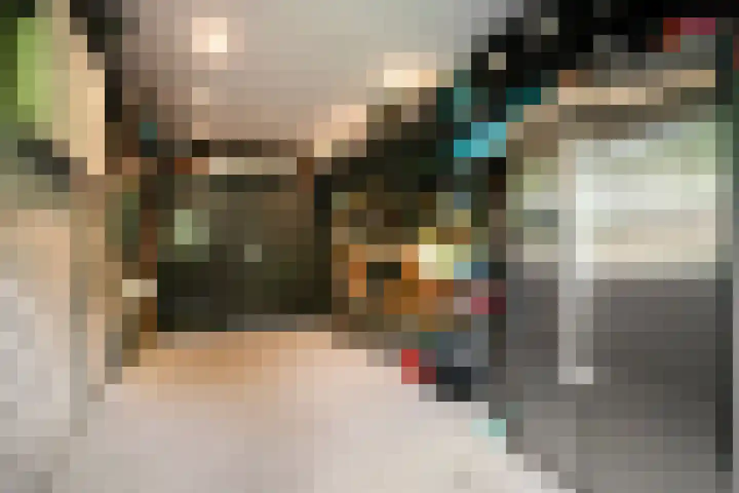 Steltlopen 8 Best thumbnail 38