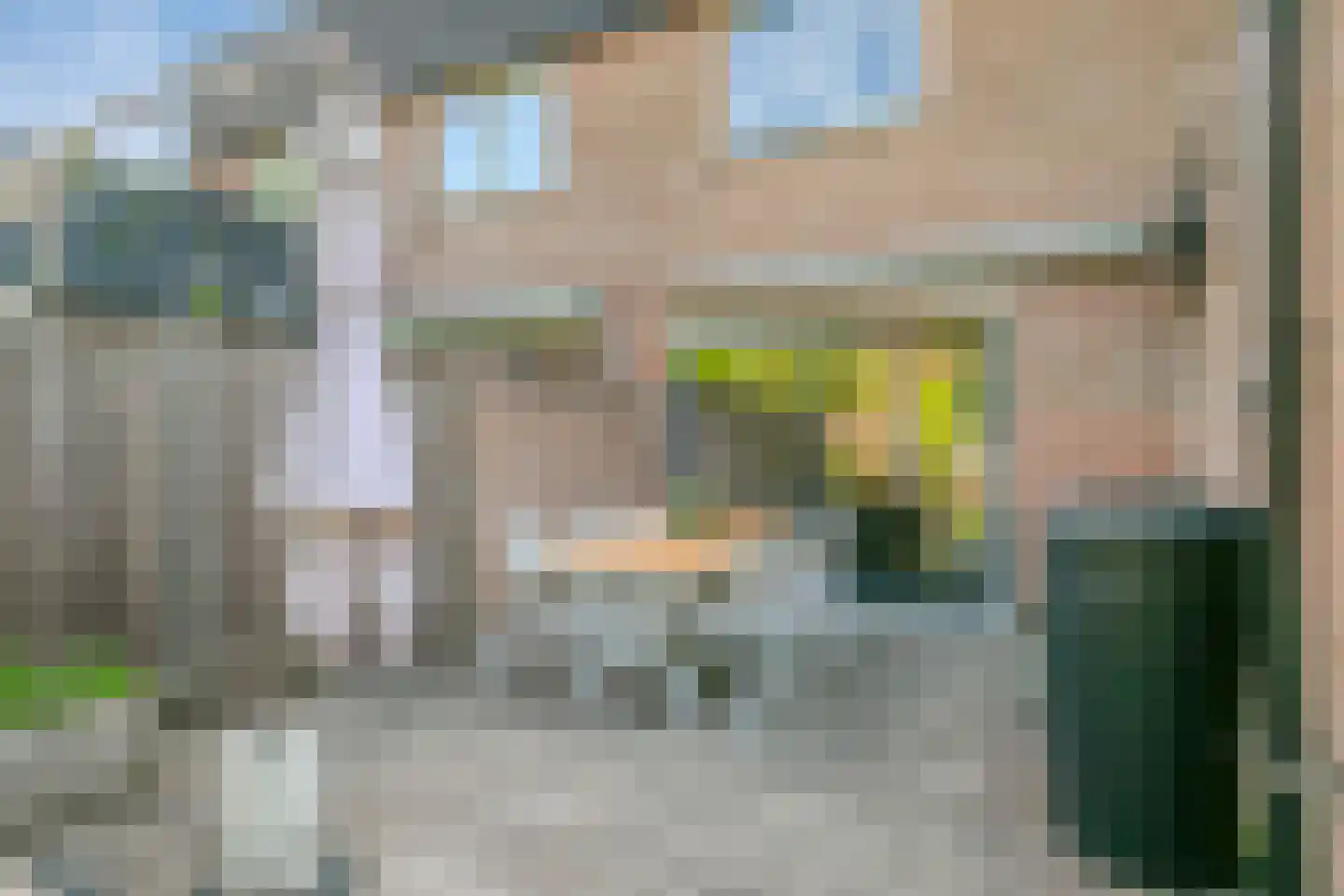 Steltlopen 8 Best thumbnail 39