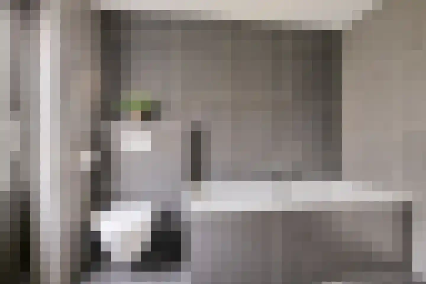 Steltlopen 8 Best thumbnail 4