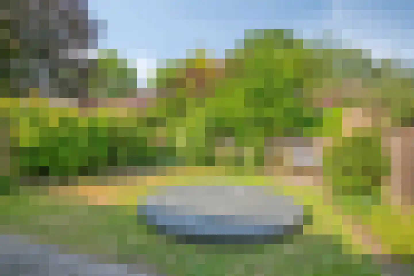 Steltlopen 8 Best thumbnail 40
